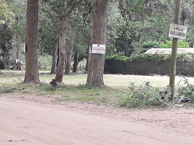 Colegio Modelo Santa Teresita