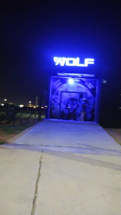 Wolf Disco