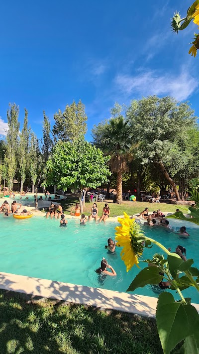 Camping Los Olivos