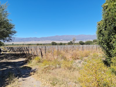 Bodega Las Mojarras