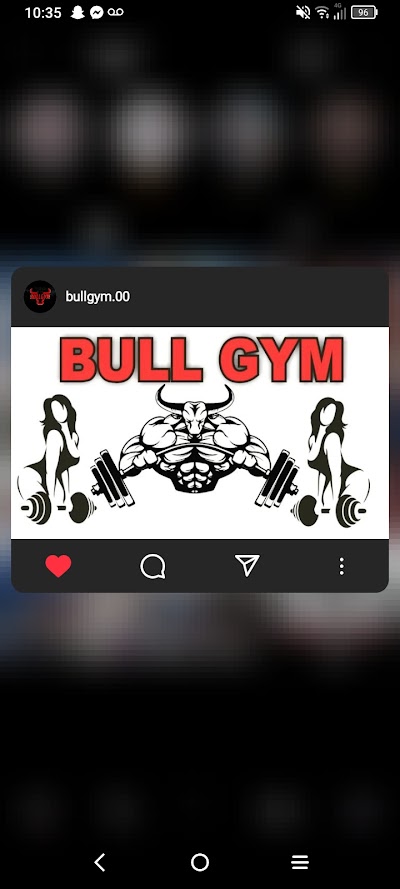 BULL GYM