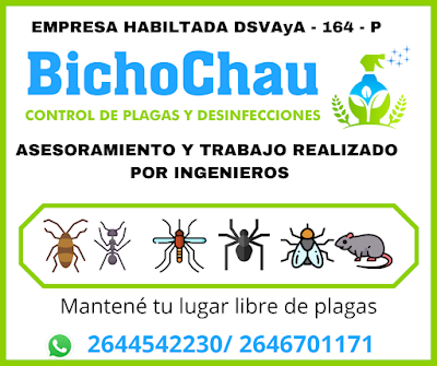 BichoChau - Fumigaciones