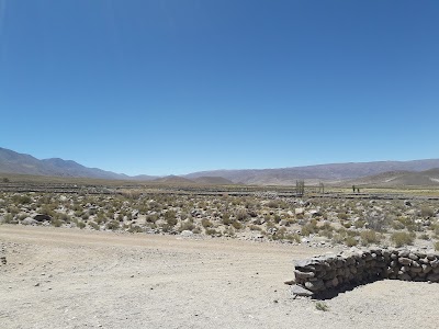 Musée intégral de la Réserve de Biosphère de Laguna Blanca