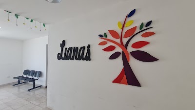 Lianas, espacio interdisciplinario