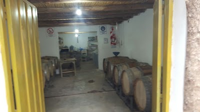 BODEGA GALILEA VIÑEDOS