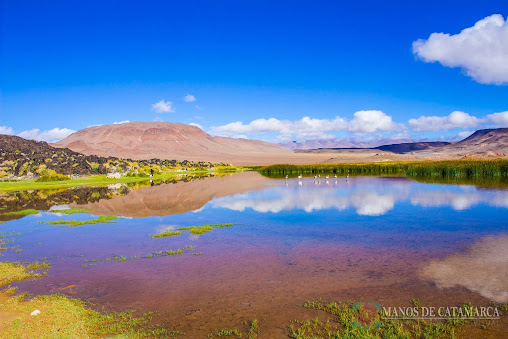 Manos de Catamarca