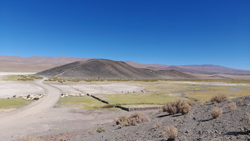 Antofalla catamarca