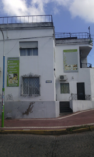 Spa Urbano Medicina & Estética