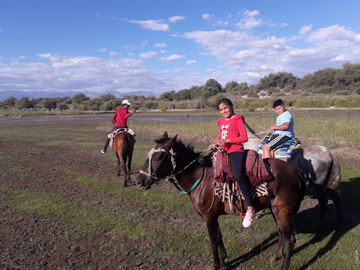 Cabalgando Senderos, Los Nacimientos