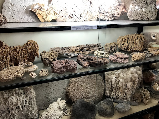 Museo Mineralogico de Antofagasta de la Sierra