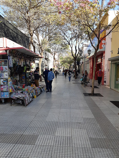 Peatonal Rivadavia