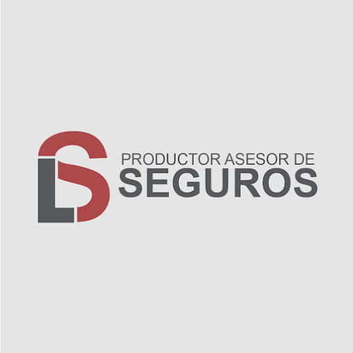 Organización LS Asesores De Seguros