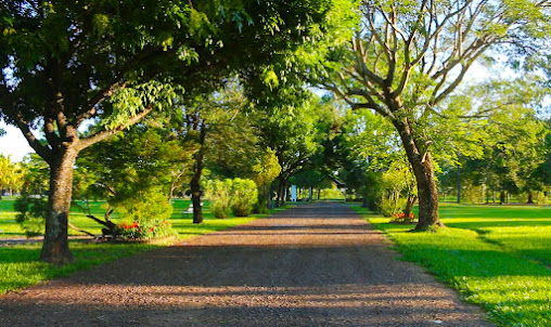 Cementerio Parque - Parque Jazmín