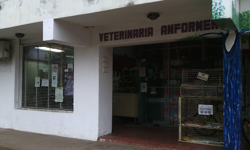 Veterinaria Anformer