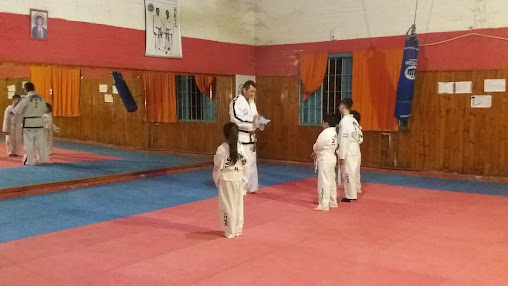 Asociacion Saenzpeñense de Taekwondo ITF