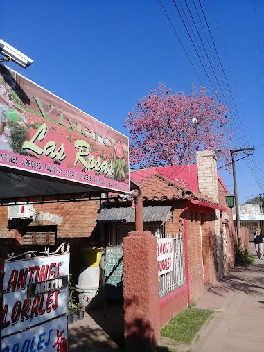 Vivero Y Floreria Las Rosas