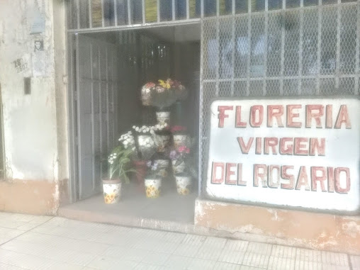 FLORERIA VIVERO :"VIRGEN DEL ROSARIO" Ofertas LIQUIDACION POR CIERRE