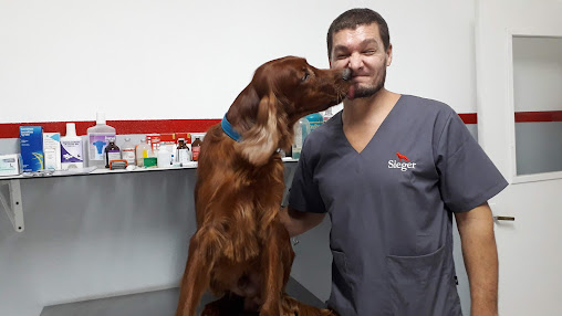 MENDIVET CLINICA VETERINARIA