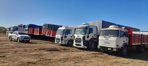 Centro logístico Transporte Nieto