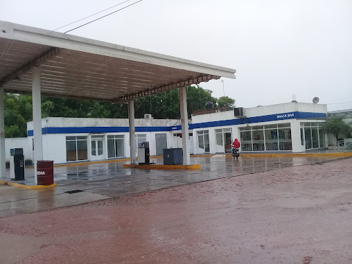 Estación de Servicio