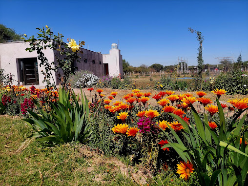 Vivero Los Talas