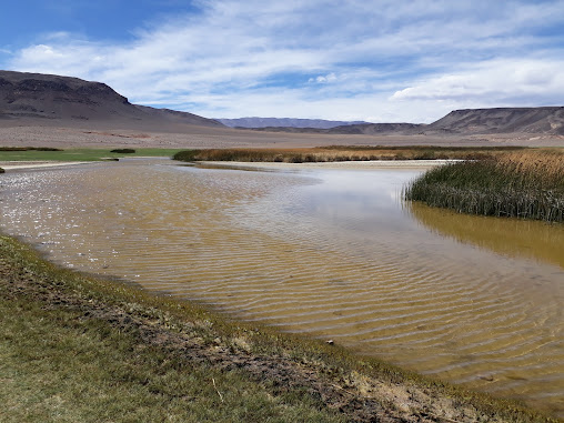 Canchita Césped Sintético B° Nueva Catamarca