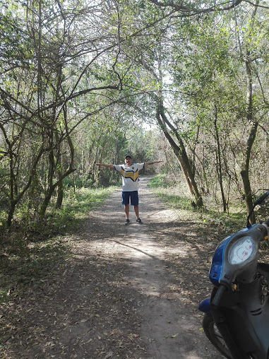 Corralón El Árbol