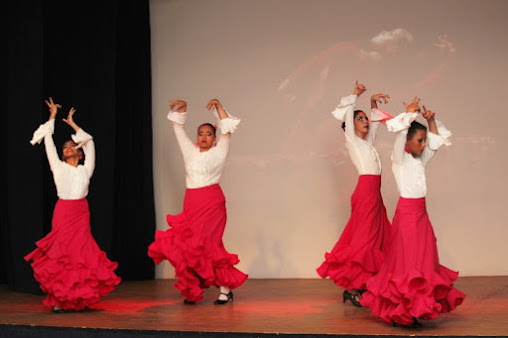 Escuela de Danzas "AURELIA PINTO"