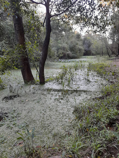 Paraje El Fiscal Chaco