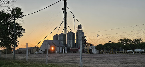 Acopio General Pinedo - Molinos Agro