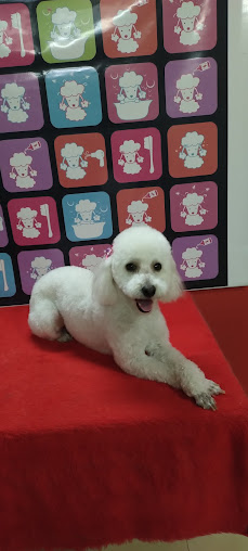 Peluquería Canina Poriahú