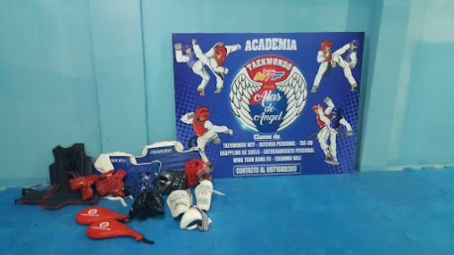 Academia de Artes Marciales