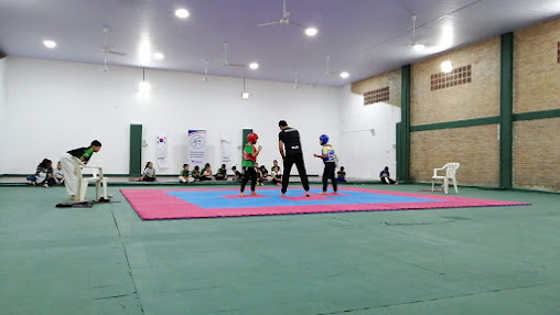 Club de Taekwondo Green Dragón