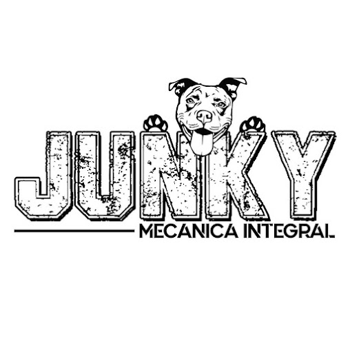 Junky Mecánica Integral