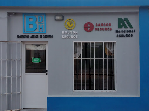 BAUSTIAN PRODUCTOR ASESOR DE SEGUROS