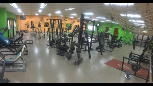 Fenix Gimnasio y Fitness