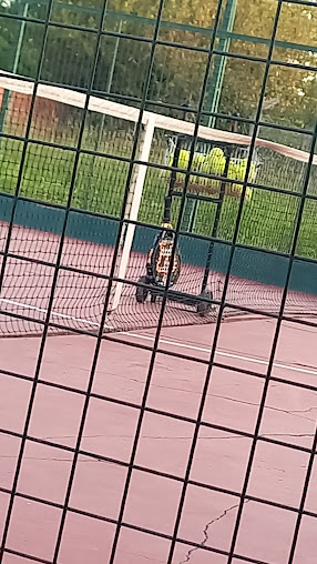 The Tiger Padel