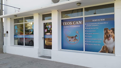 Teos Can clinica veterinaria