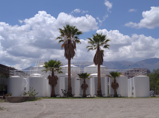 Bodega Prelatura - de los monjes Agustinos