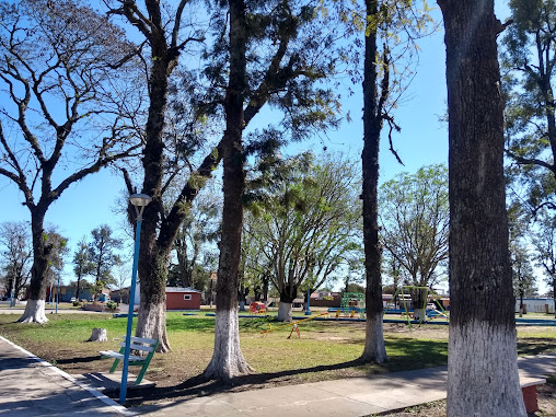 Plaza de Las Palmas