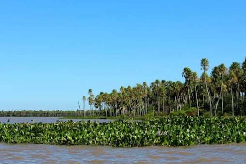 Parque Nacional "Laguna El Palmar"