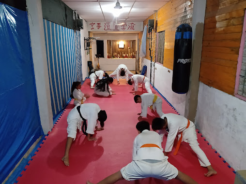 ESCUELA DE KARATE LAS PALMERAS ARGENTINA