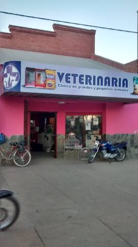 Veterinaria Clínica de Grandes y Pequeños Animales