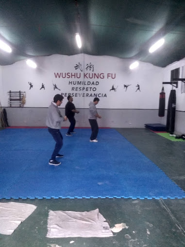 Escuela De Wushu Kung-fu Benshi - Jingwu