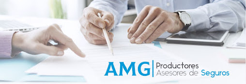 AMG PRODUCTORES ASESORES DE SEGUROS