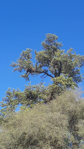 Gráfika Norte