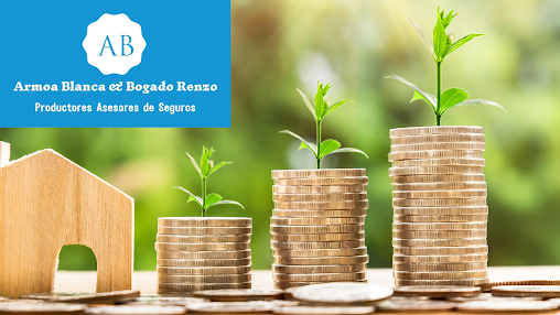 ARMOA Y BOGADO PRODUCTORES DE SEGUROS