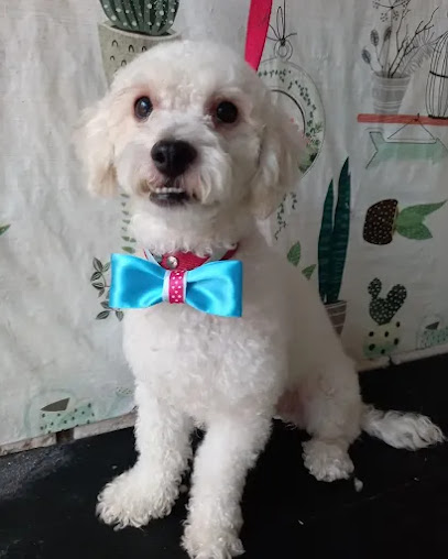 Peluquería Canina Mariel Zeniquel