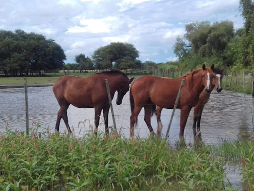 Veterinaria San Roque