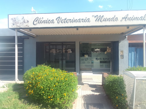 Clinica veterinaria mundo animal